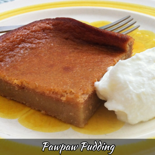 Pawpaw Pudding