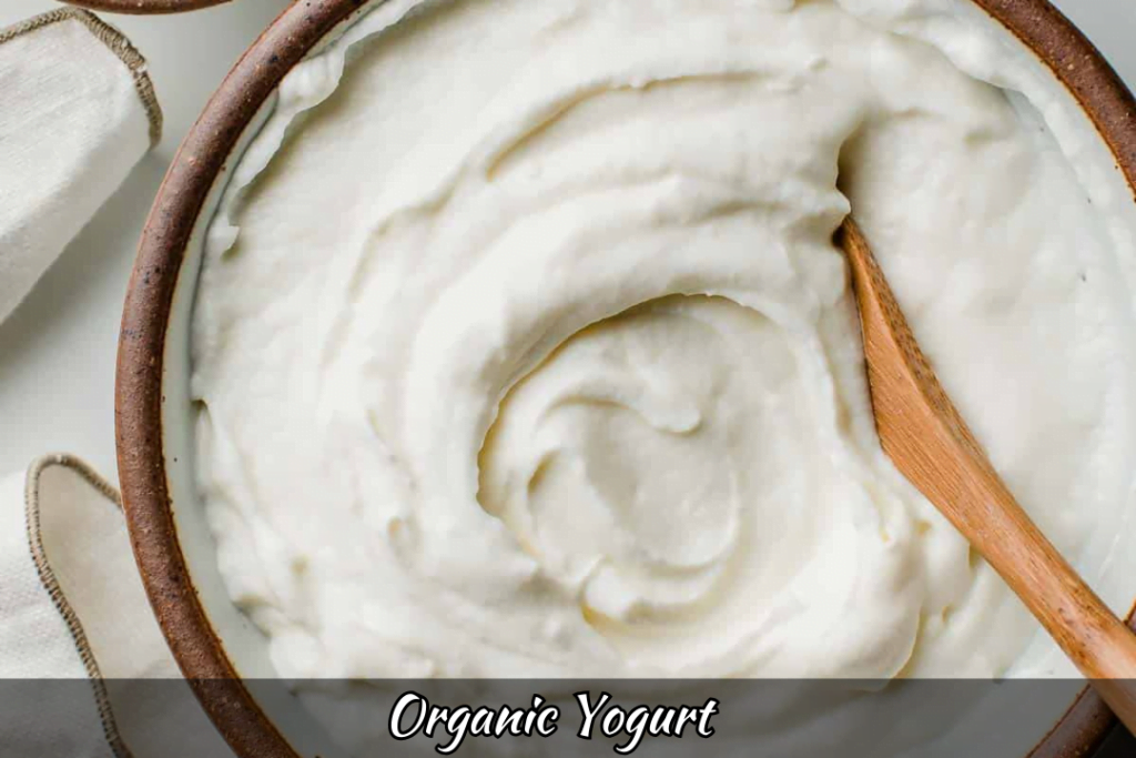 Organic Yogurt