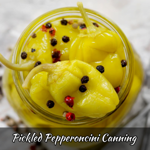 Pickled Pepperoncini Canning