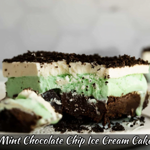 Mint Chocolate Chip Ice Cream Cake Recipe