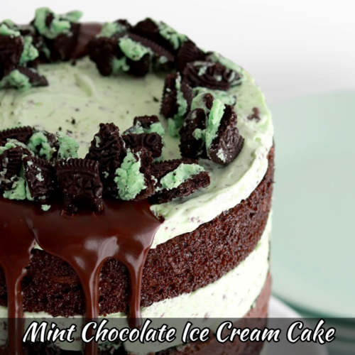 Mint Chocolate Ice Cream Cake Recipe