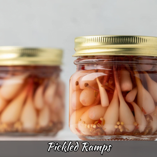 Pickled Ramps Recipe