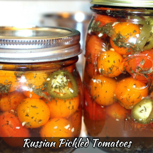 Russian Pickled Tomatoes Recipe